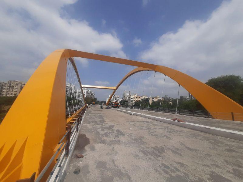 Butterfly Bridge (Thergaon–Chinchwad) — photo 2
