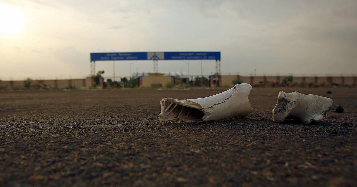 Jaisalmer Airport — Six Months Idle, Every Year
