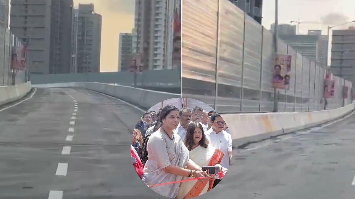 Mrinal Tai Gore Flyover — Potholes Hours After Inauguration